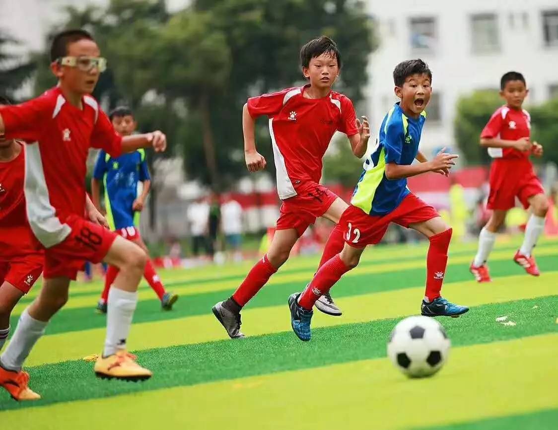 土耳其、丹麦、奥地利、匈牙利、波兰、捷克