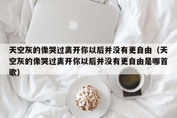 天空灰的像哭过离开你以后并没有更自由（天空灰的像哭过离开你以后并没有更自由是哪首歌）