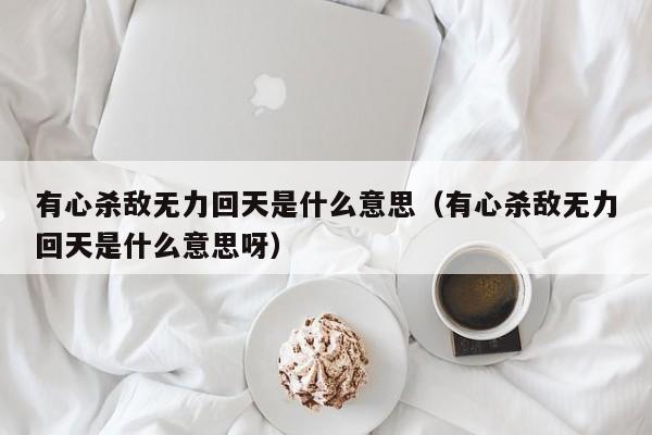 有心杀敌无力回天是什么意思（有心杀敌无力回天是什么意思呀）