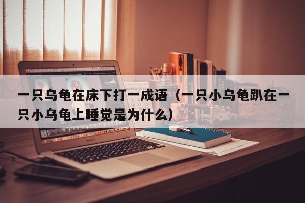 一只乌龟在床下打一成语（一只小乌龟趴在一只小乌龟上睡觉是为什么）