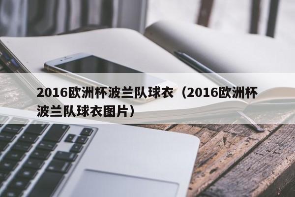 2016欧洲杯波兰队球衣（2016欧洲杯波兰队球衣图片）