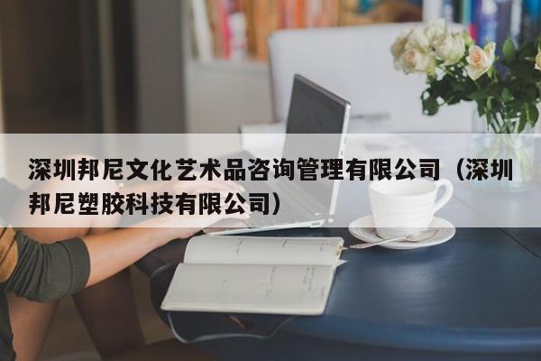 深圳邦尼文化艺术品咨询管理有限公司（深圳邦尼塑胶科技有限公司）