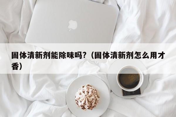 固体清新剂能除味吗?（固体清新剂怎么用才香）